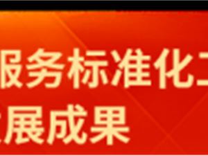 信息技术服务标准在软件开发中的应用与价值